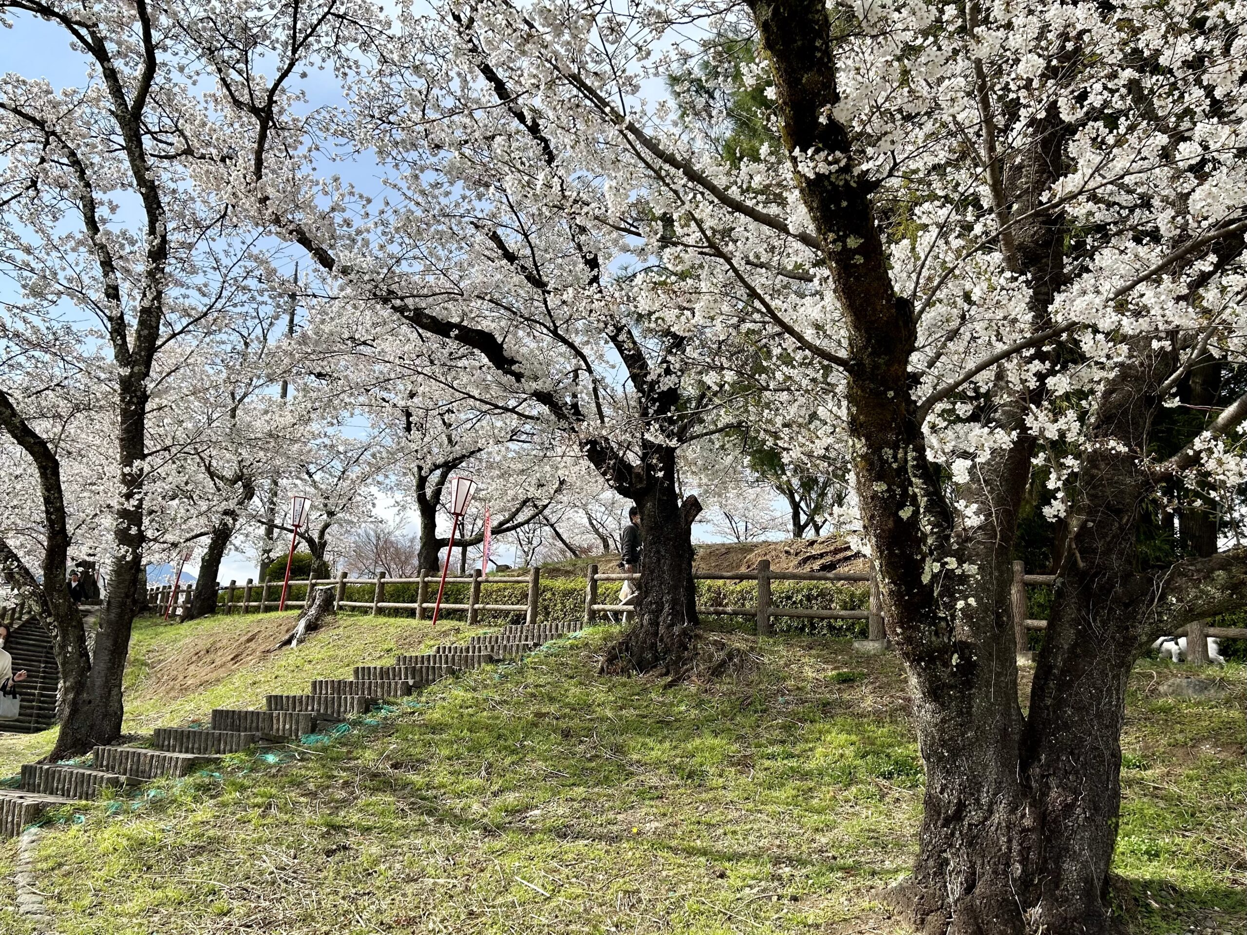 甲斐の国マップ 甲斐のホテル 山梨県 観光情報