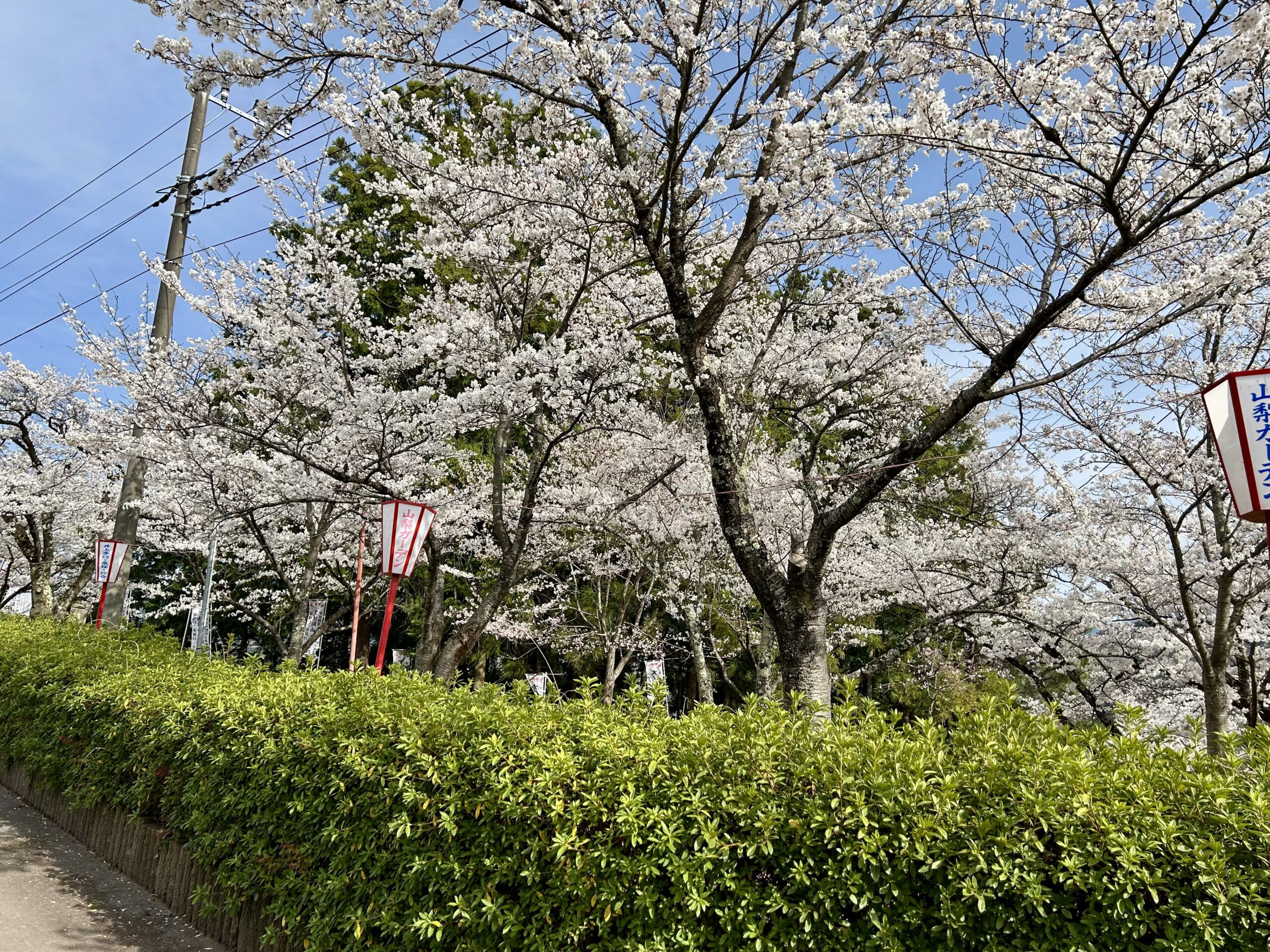 甲斐の国マップ 甲斐のホテル 山梨県 観光情報
