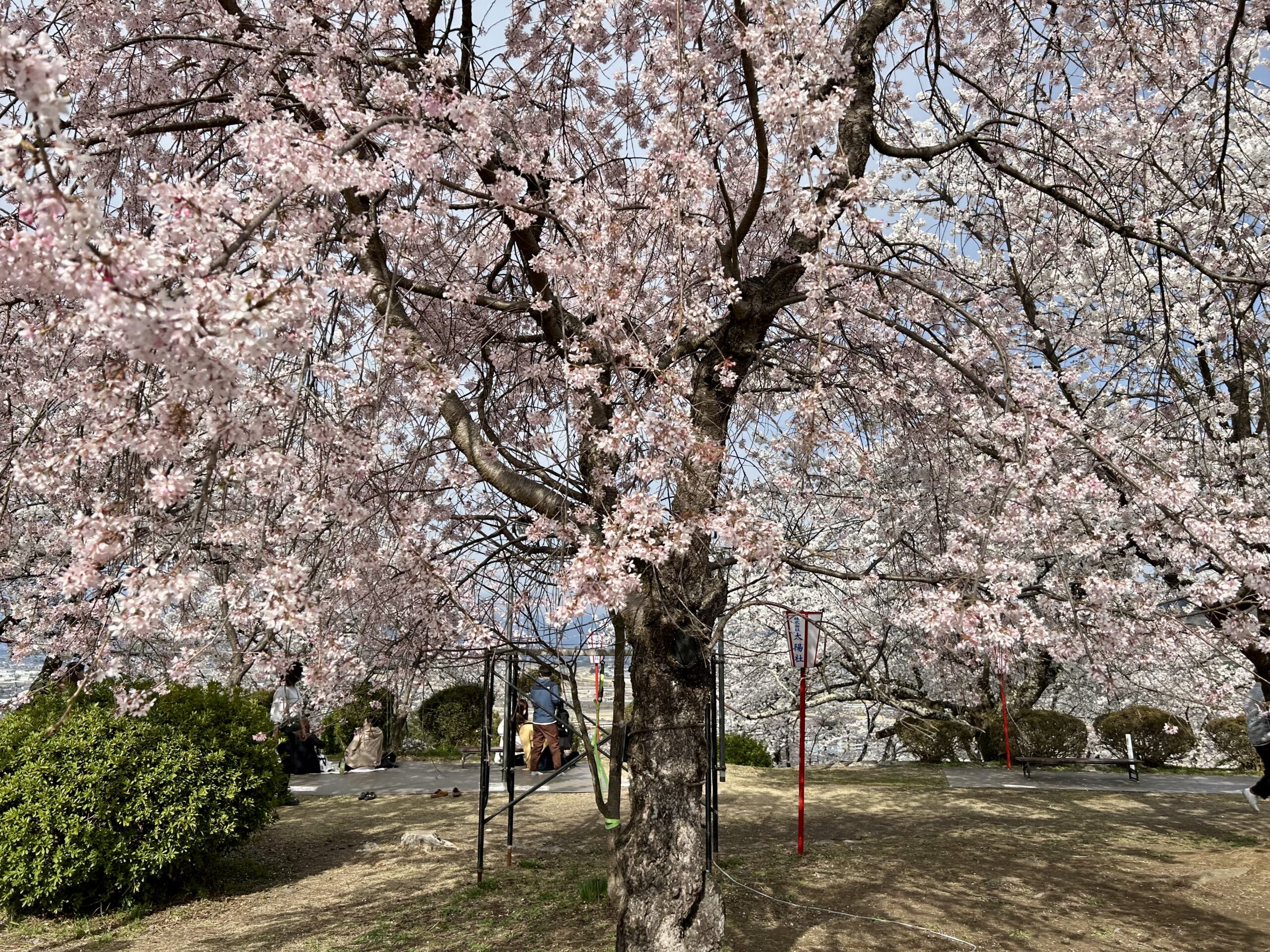 甲斐の国マップ 甲斐のホテル 山梨県 観光情報