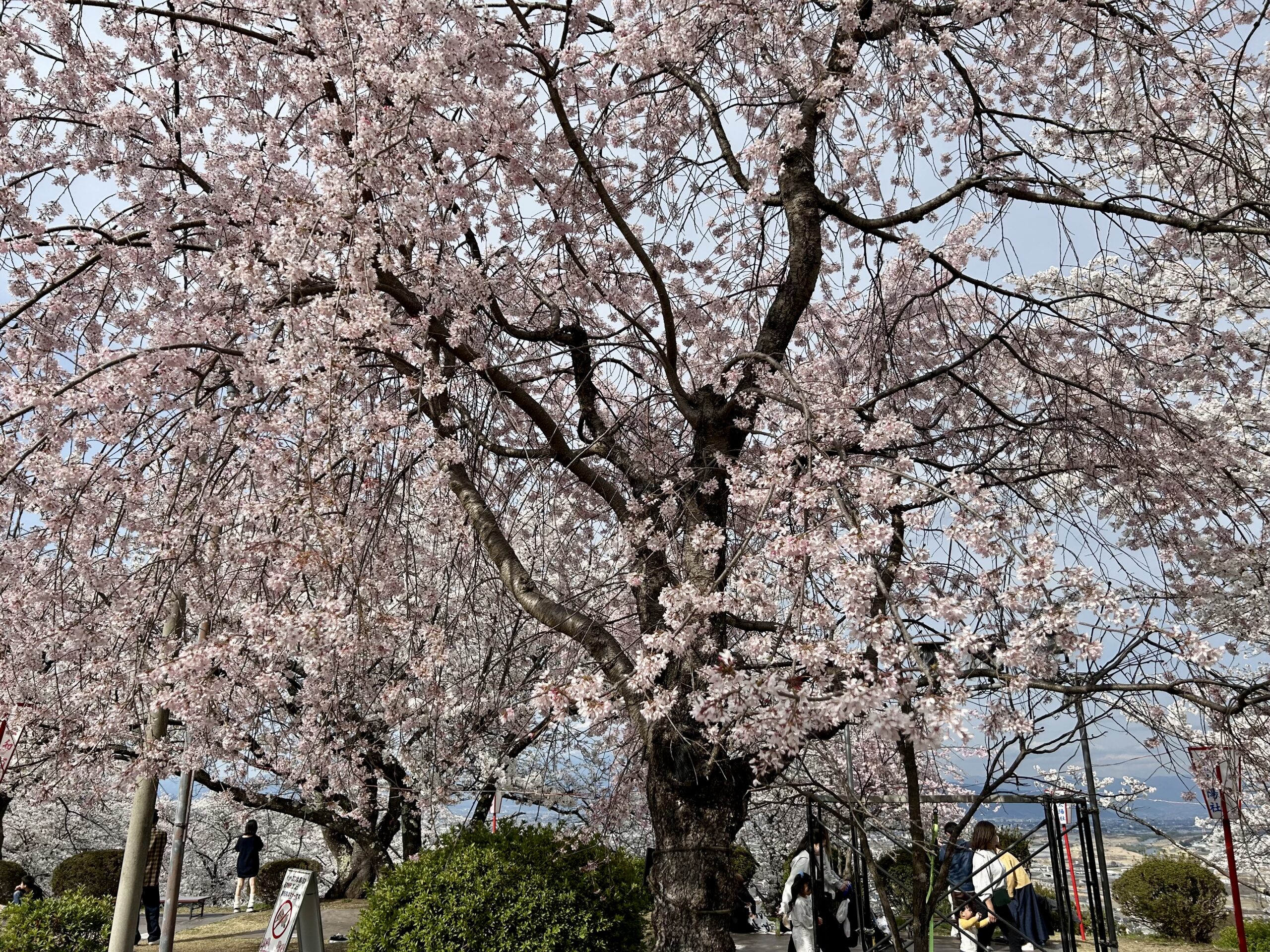 甲斐の国マップ 甲斐のホテル 山梨県 観光情報
