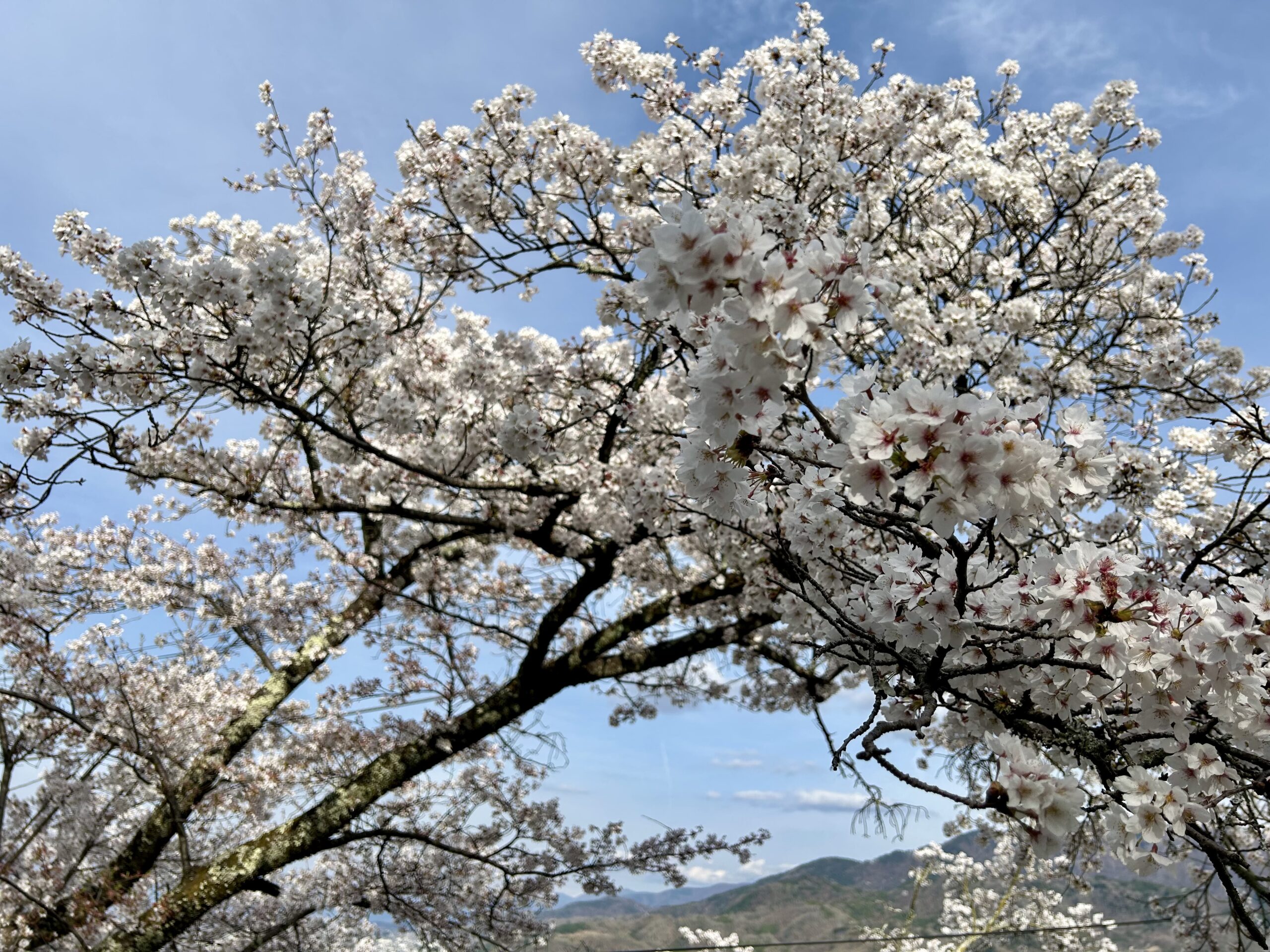 甲斐の国マップ 甲斐のホテル 山梨県 観光情報